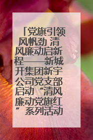 党旗引领风帆劲 清风廉动启新程——新城开集团新宇公司党支部启动“清风廉动党旗红”系列活动