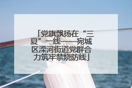 党旗飘扬在“三夏”一线——宛城区溧河街道党群合力筑牢禁烧防线