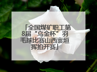 全国煤矿职工第8届“乌金杯”羽毛球比赛山西襄垣挥拍开赛