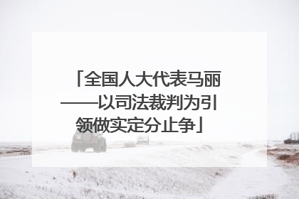 全国人大代表马丽——以司法裁判为引领做实定分止争
