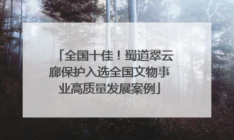 全国十佳！蜀道翠云廊保护入选全国文物事业高质量发展案例