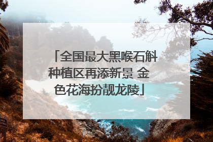 全国最大黑喉石斛种植区再添新景 金色花海扮靓龙陵