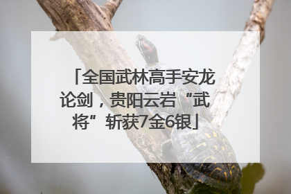 全国武林高手安龙论剑，贵阳云岩“武将”斩获7金6银