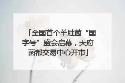 全国首个羊肚菌“国字号”盛会启幕，天府菌都交易中心开市