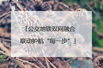 公交地铁双网融合 联动护航“每一步”