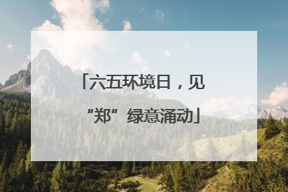 六五环境日，见“郑”绿意涌动