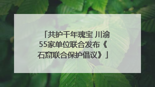 共护千年瑰宝 川渝55家单位联合发布《石窟联合保护倡议》