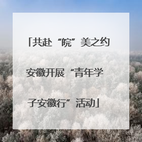 共赴“皖”美之约 安徽开展“青年学子安徽行”活动