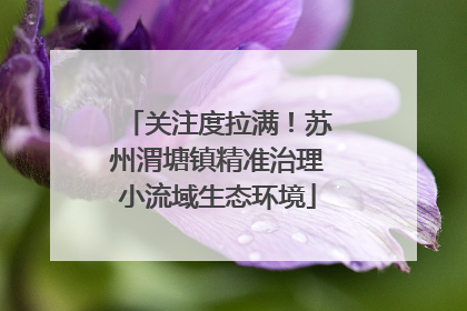 关注度拉满！苏州渭塘镇精准治理小流域生态环境