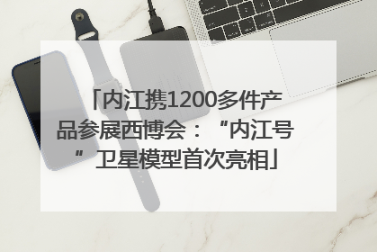 内江携1200多件产品参展西博会：“内江号”卫星模型首次亮相