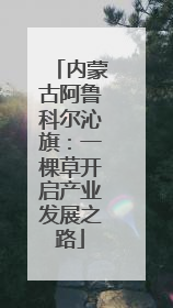内蒙古阿鲁科尔沁旗：一棵草开启产业发展之路