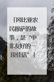 冈比亚农民穆萨的故事，是“中非友好的一段佳话”