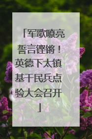 军歌嘹亮誓言铿锵！英德下太镇基干民兵点验大会召开