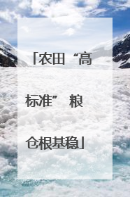 农田“高标准” 粮仓根基稳