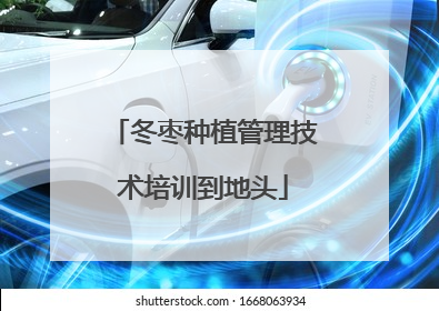 冬枣种植管理技术培训到地头