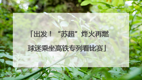 出发！“苏超”烽火再燃 球迷乘坐高铁专列看比赛