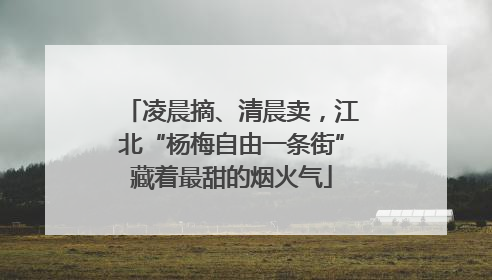 凌晨摘、清晨卖，江北“杨梅自由一条街”藏着最甜的烟火气
