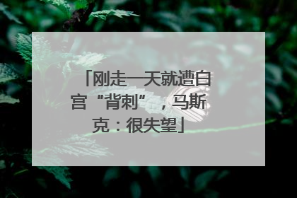 刚走一天就遭白宫“背刺”，马斯克：很失望
