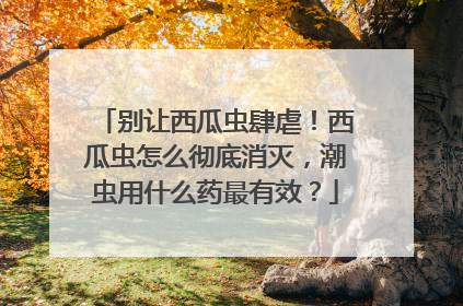 别让西瓜虫肆虐！西瓜虫怎么彻底消灭，潮虫用什么药最有效？