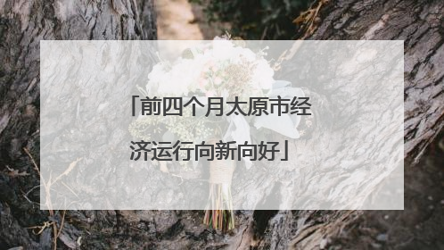 前四个月太原市经济运行向新向好