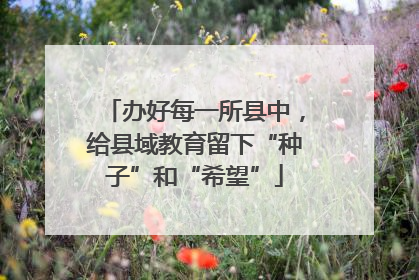 办好每一所县中，给县域教育留下“种子”和“希望”