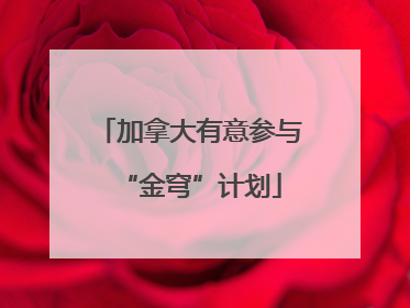 加拿大有意参与“金穹”计划