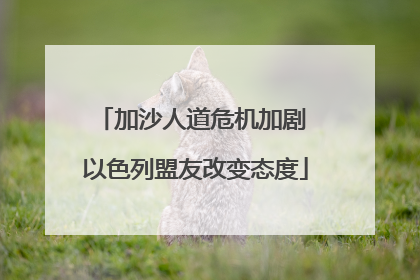 加沙人道危机加剧 以色列盟友改变态度