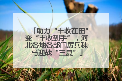 助力“丰收在田”变“丰收到手”，河北各地各部门厉兵秣马迎战“三夏”