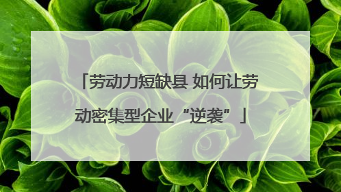 劳动力短缺县 如何让劳动密集型企业“逆袭”