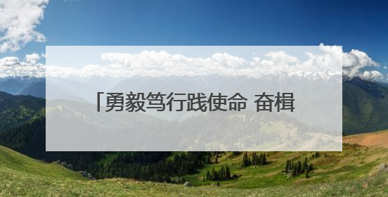 勇毅笃行践使命 奋楫扬帆启新程——神木市委社会工作部工作纪实