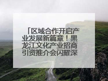 区域合作开启产业发展新篇章！黑龙江文化产业招商引资推介会闪耀深圳文博会