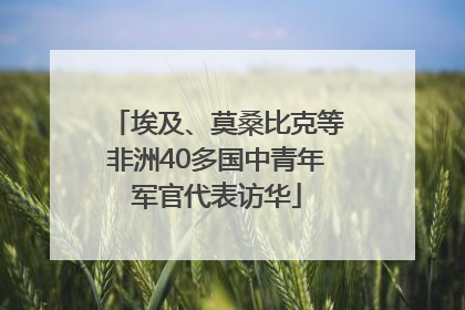 埃及、莫桑比克等非洲40多国中青年军官代表访华