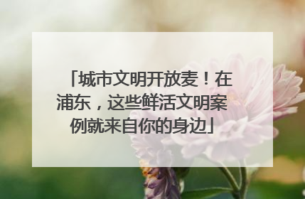 城市文明开放麦！在浦东，这些鲜活文明案例就来自你的身边