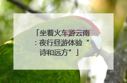 坐着火车游云南：夜行昼游体验“诗和远方”