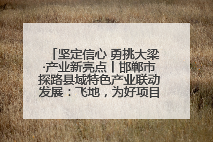 坚定信心 勇挑大梁·产业新亮点丨邯郸市探路县域特色产业联动发展：飞地，为好项目跨域安个家