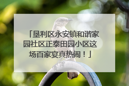 垦利区永安镇和谐家园社区正泰田园小区这场百家宴真热闹！