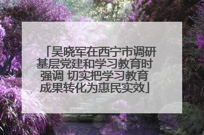 吴晓军在西宁市调研基层党建和学习教育时强调 切实把学习教育成果转化为惠民实效