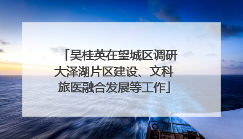 吴桂英在望城区调研大泽湖片区建设、文科旅医融合发展等工作