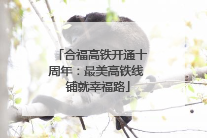 合福高铁开通十周年：最美高铁线 铺就幸福路