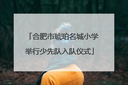 合肥市琥珀名城小学举行少先队入队仪式