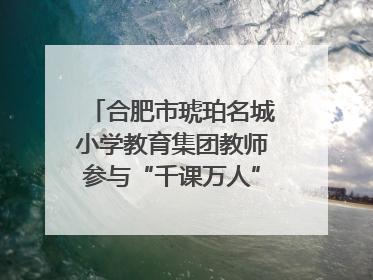 合肥市琥珀名城小学教育集团教师参与“千课万人”数学论坛活动