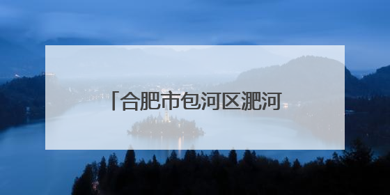 合肥市包河区淝河镇：“微服务”解锁“幸福密码”