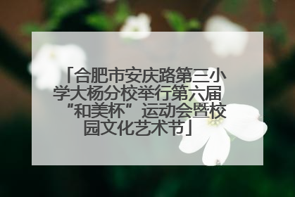 合肥市安庆路第三小学大杨分校举行第六届“和美杯”运动会暨校园文化艺术节