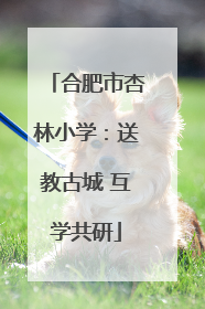合肥市杏林小学：送教古城 互学共研