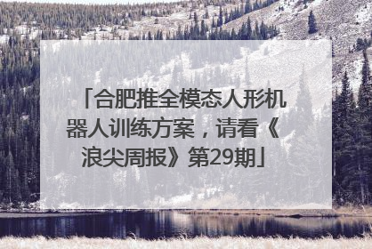 合肥推全模态人形机器人训练方案，请看《浪尖周报》第29期