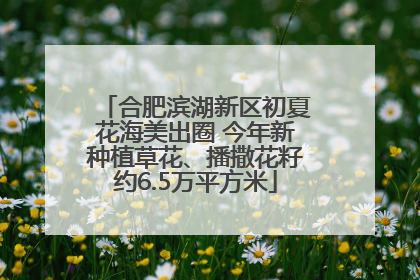 合肥滨湖新区初夏花海美出圈 今年新种植草花、播撒花籽约6.5万平方米