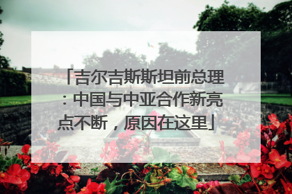 吉尔吉斯斯坦前总理：中国与中亚合作新亮点不断，原因在这里