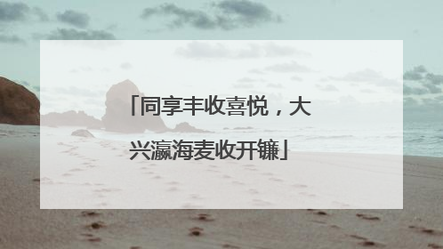 同享丰收喜悦，大兴瀛海麦收开镰
