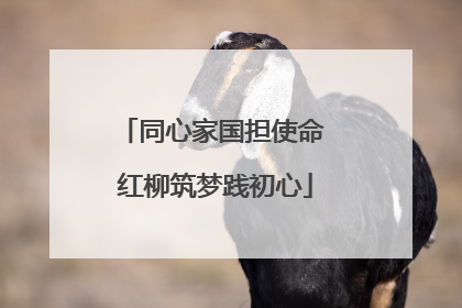 同心家国担使命 红柳筑梦践初心