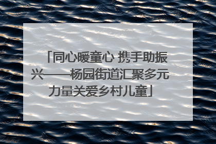 同心暖童心 携手助振兴——杨园街道汇聚多元力量关爱乡村儿童